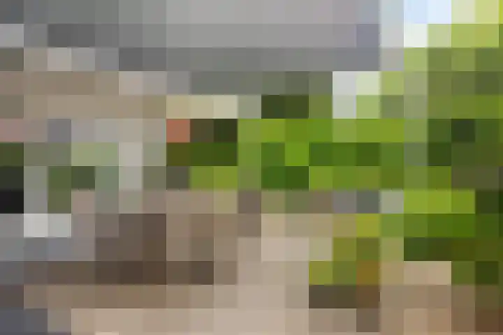 Achterkerkstraat 87 Veenendaal thumbnail 43
