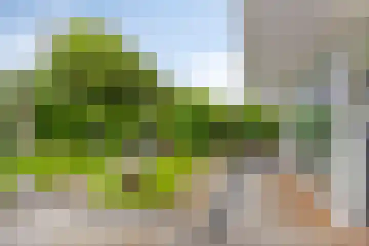Achterkerkstraat 87 Veenendaal thumbnail 47