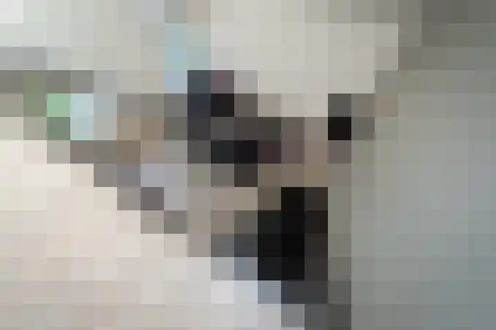 Achterkerspel 40 Gendringen thumbnail 15