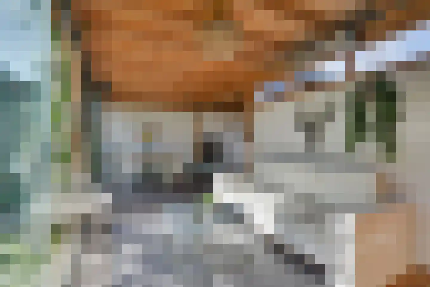 Achterkogge 14 Zwaag thumbnail 43