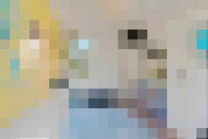 Achterkogge 18 Zwaag thumbnail 13