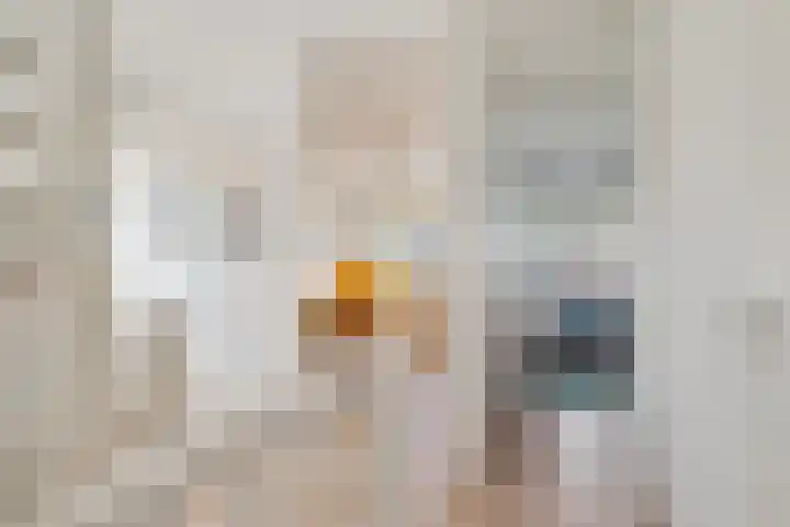 Achterkogge 18 Zwaag thumbnail 19