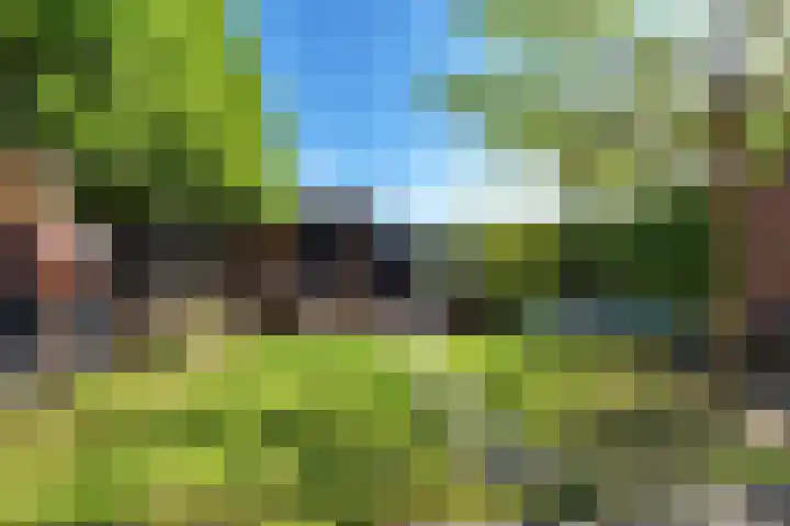 Achterkogge 18 Zwaag thumbnail 32
