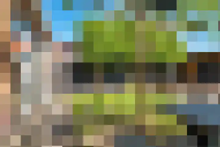Achterkogge 18 Zwaag thumbnail 33