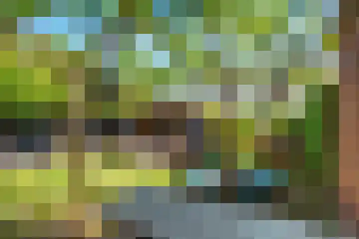 Achterkogge 18 Zwaag thumbnail 34
