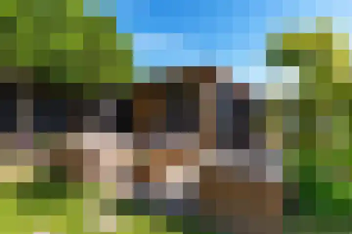 Achterkogge 18 Zwaag thumbnail 35