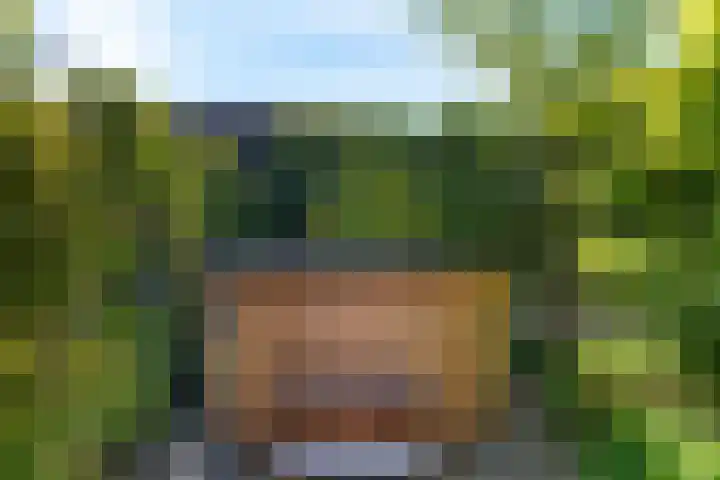 Achterkogge 18 Zwaag thumbnail 36