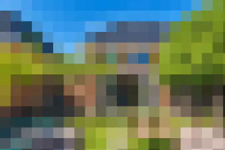 Achterkogge 18 Zwaag thumbnail 38