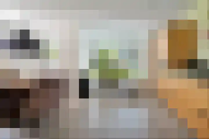 Achterkogge 18 Zwaag thumbnail 4