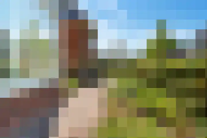 Achterkogge 18 Zwaag thumbnail 40