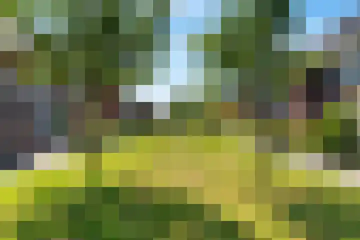 Achterkogge 18 Zwaag thumbnail 41