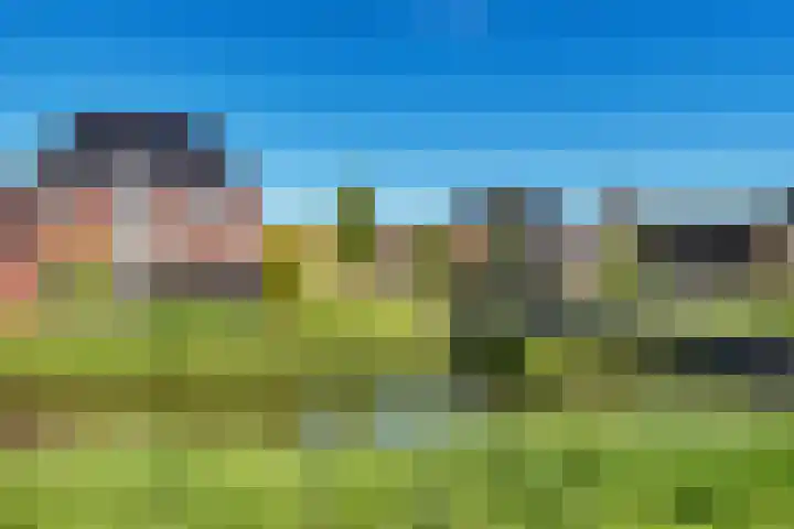 Achterkogge 18 Zwaag thumbnail 42