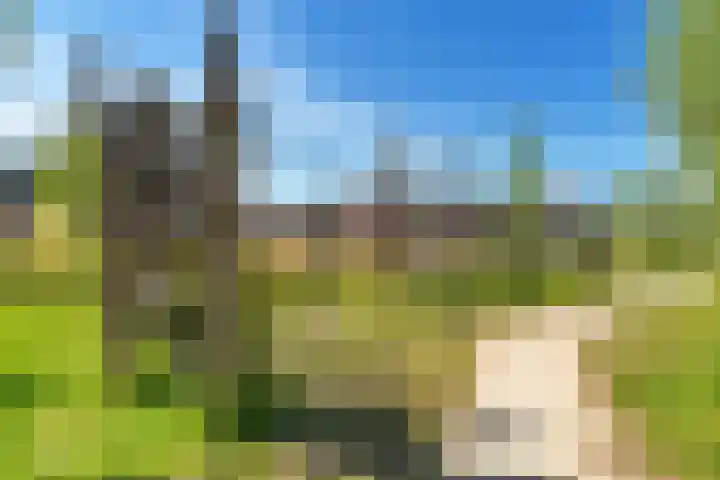 Achterkogge 18 Zwaag thumbnail 43