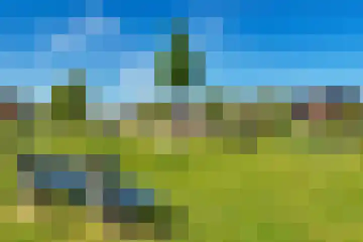 Achterkogge 18 Zwaag thumbnail 44
