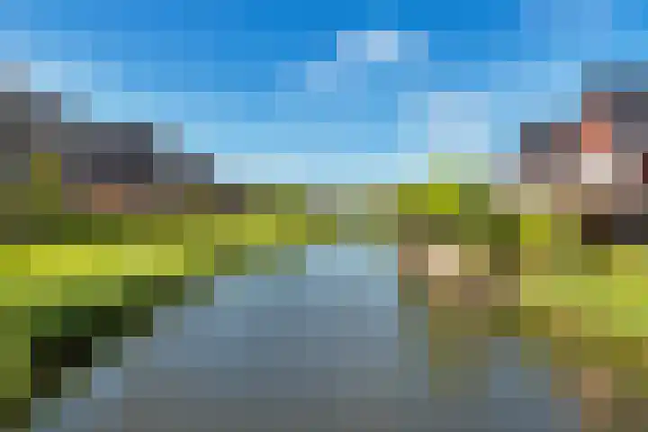 Achterkogge 18 Zwaag thumbnail 45