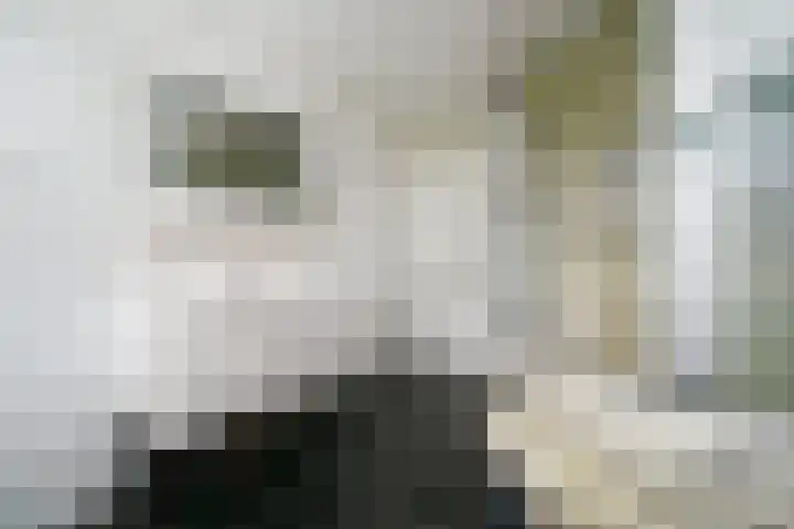 Achterkreek 27 Rotterdam thumbnail 18