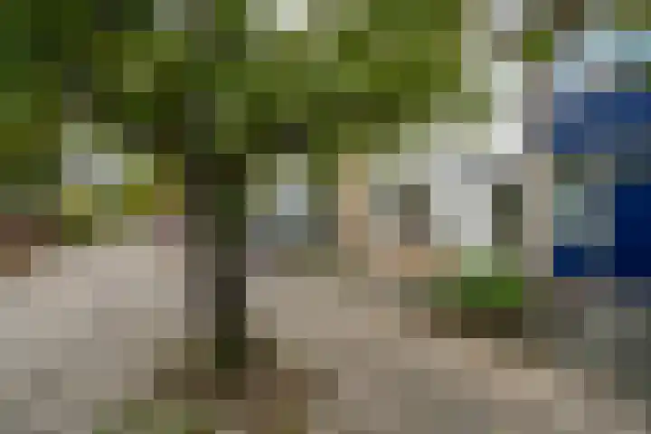Achterkreek 27 Rotterdam thumbnail 25