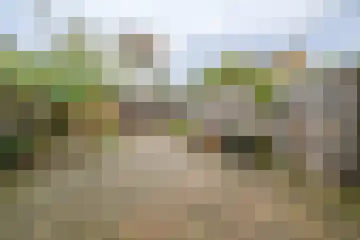 Achterkreek 27 Rotterdam thumbnail 5
