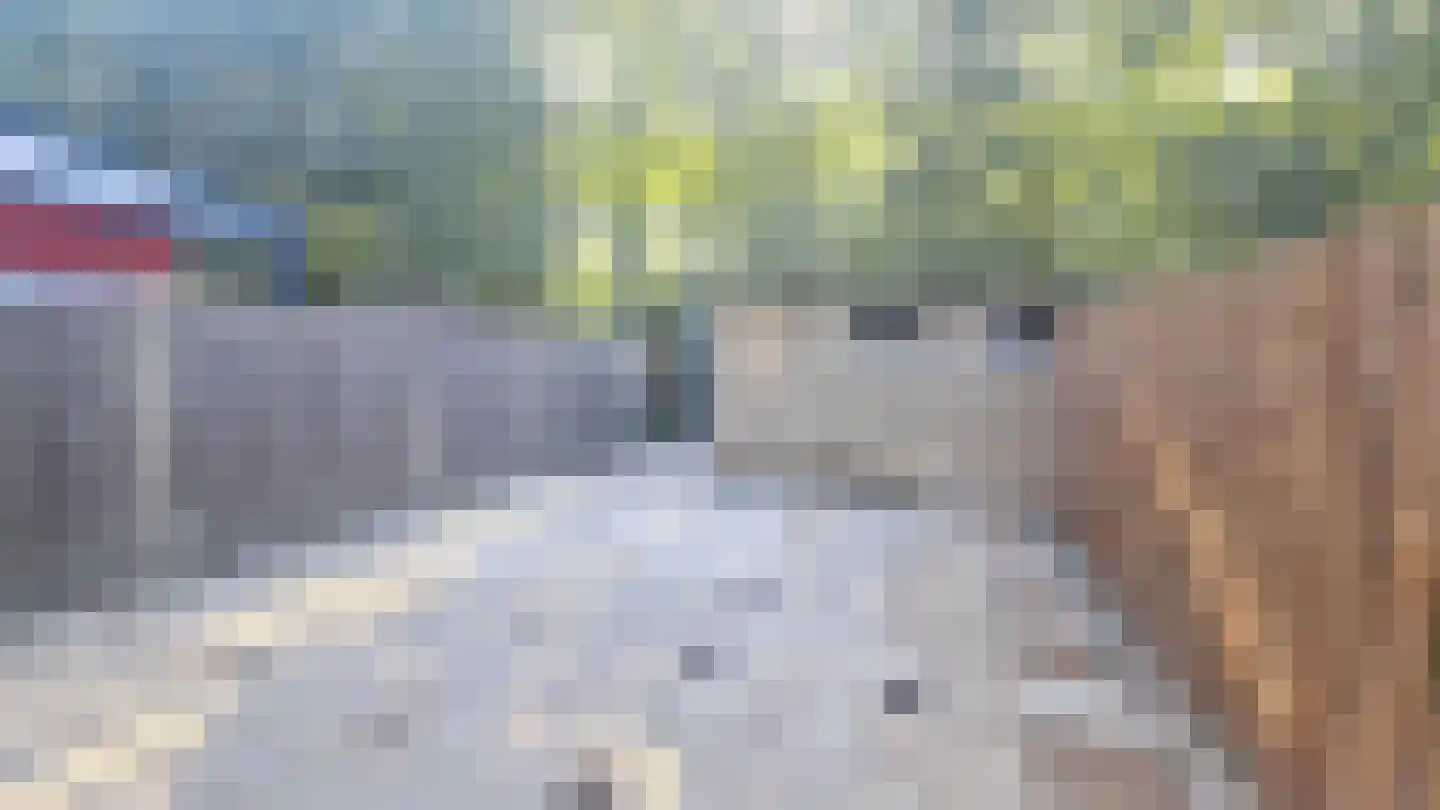 Achterkreek 30 Rotterdam thumbnail 7