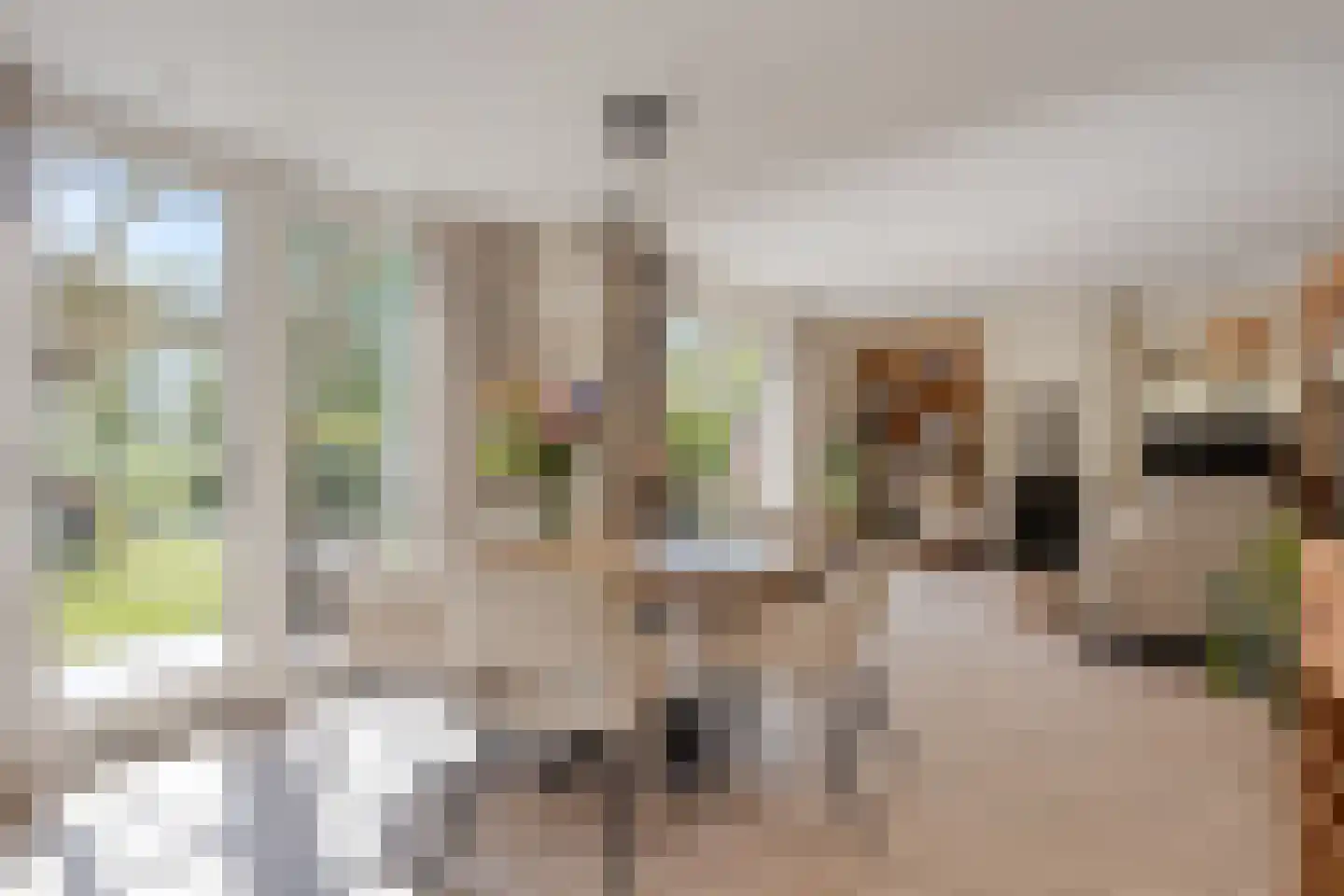 Achterlaan 11 Castricum thumbnail 13