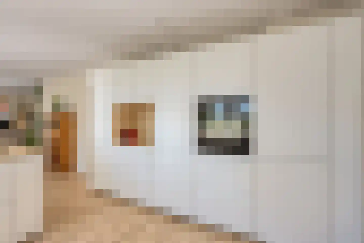 Achterlaan 11 Castricum thumbnail 16