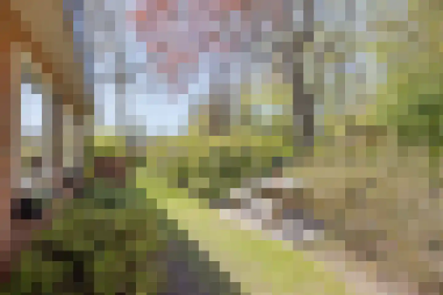 Achterlaan 11 Castricum thumbnail 25