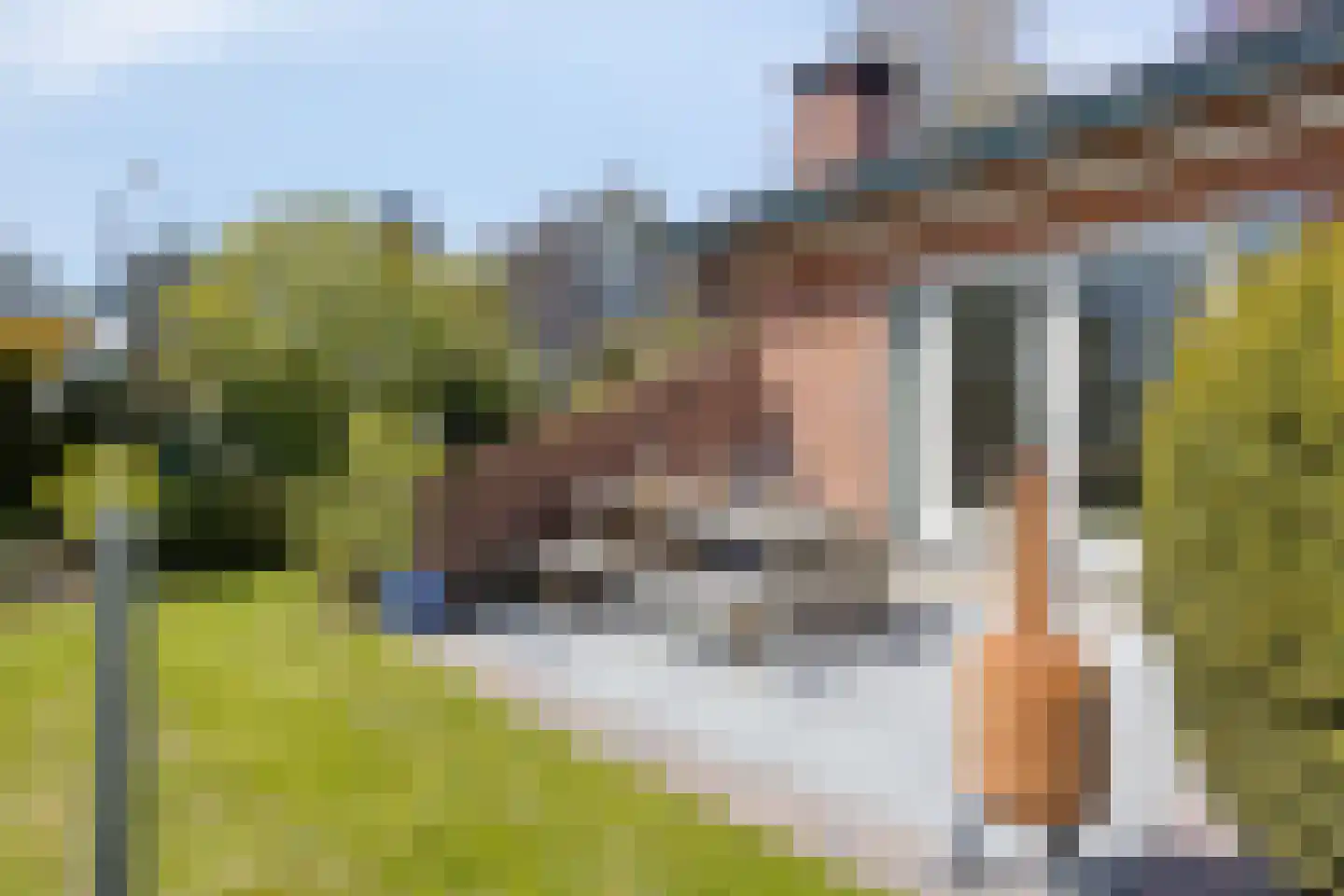 Achterlaan 11 Castricum thumbnail 26