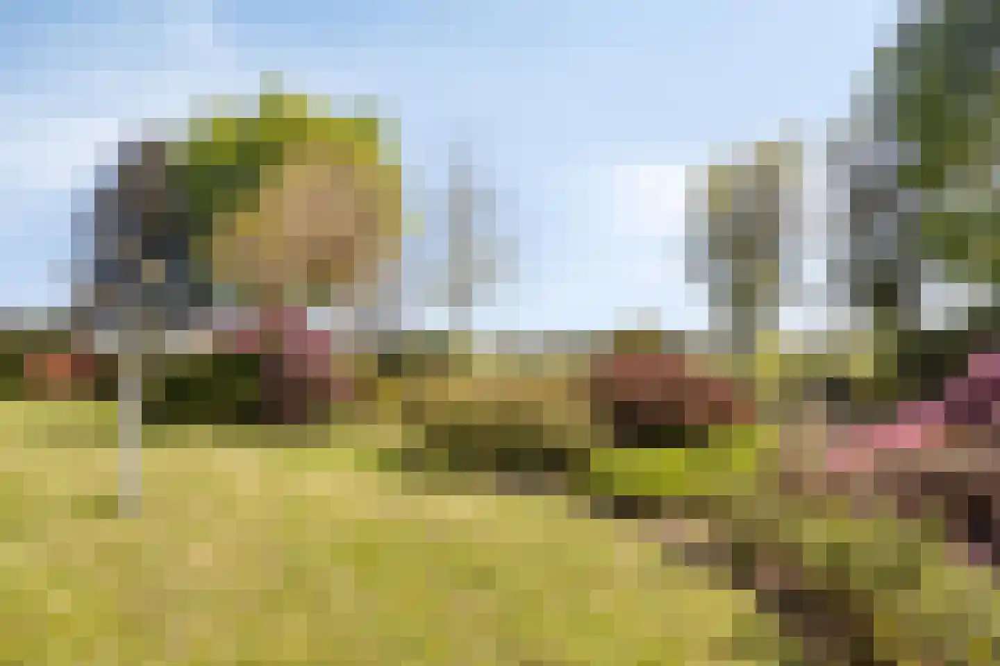 Achterlaan 11 Castricum thumbnail 27