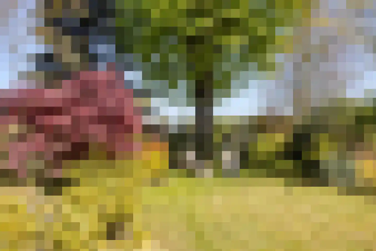 Achterlaan 11 Castricum thumbnail 29
