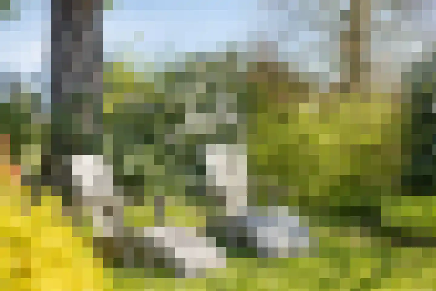Achterlaan 11 Castricum thumbnail 31