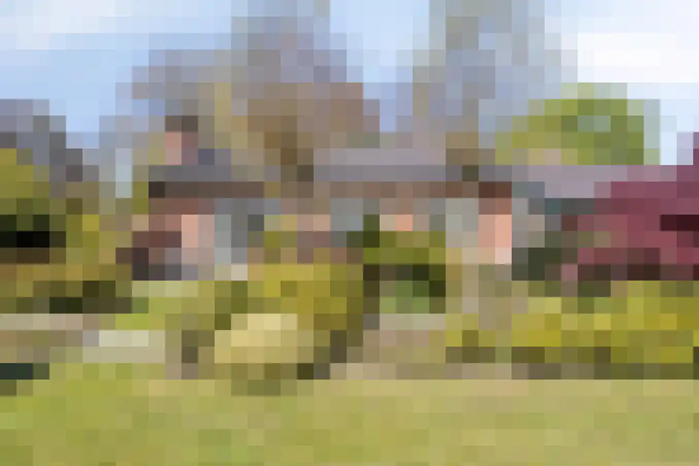 Achterlaan 11 Castricum thumbnail 57