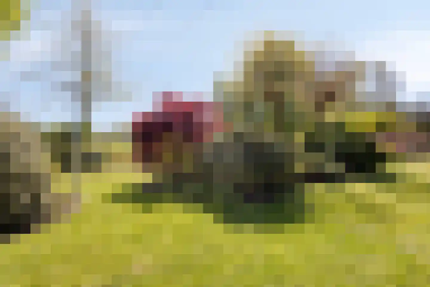 Achterlaan 11 Castricum thumbnail 59