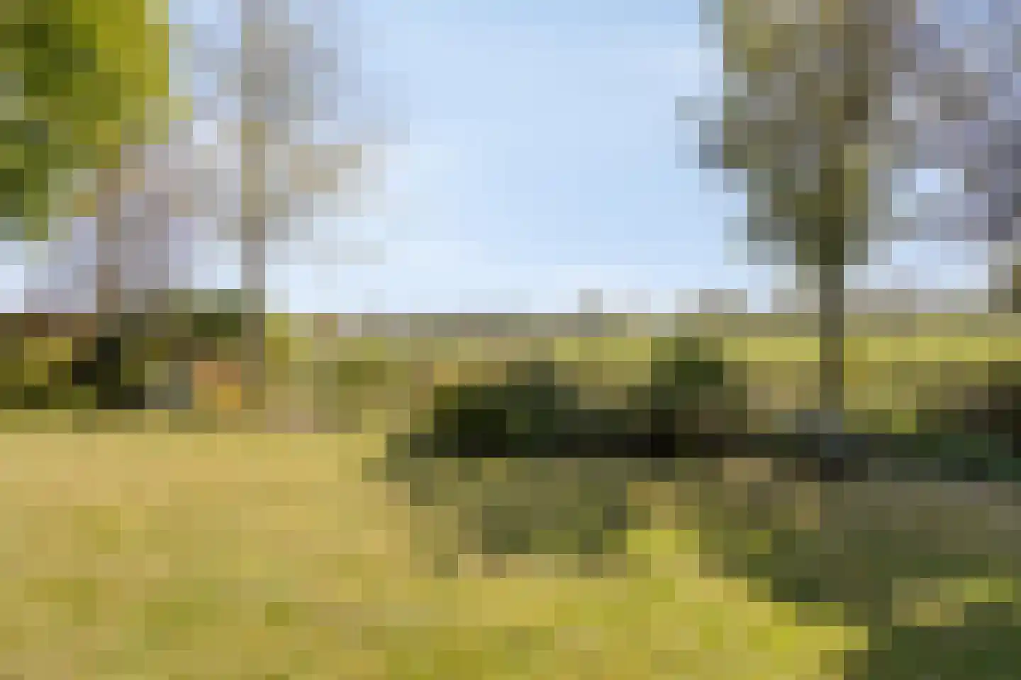Achterlaan 11 Castricum thumbnail 60