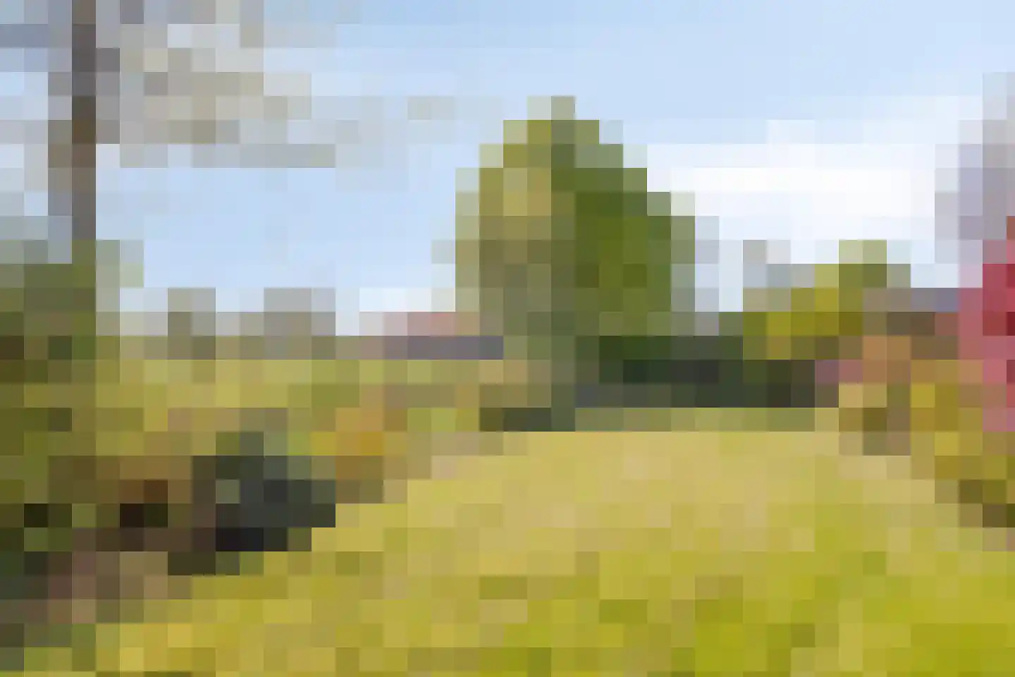 Achterlaan 11 Castricum thumbnail 61