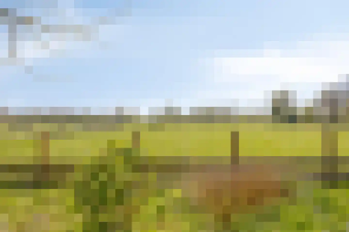 Achterlaan 11 Castricum thumbnail 62