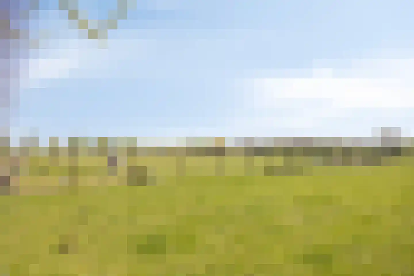 Achterlaan 11 Castricum thumbnail 63