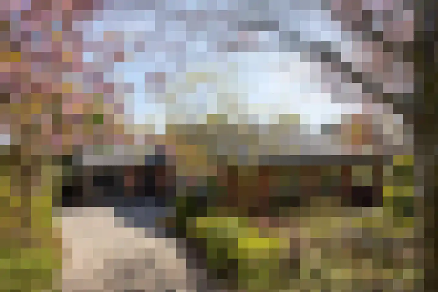Achterlaan 11 Castricum thumbnail 70