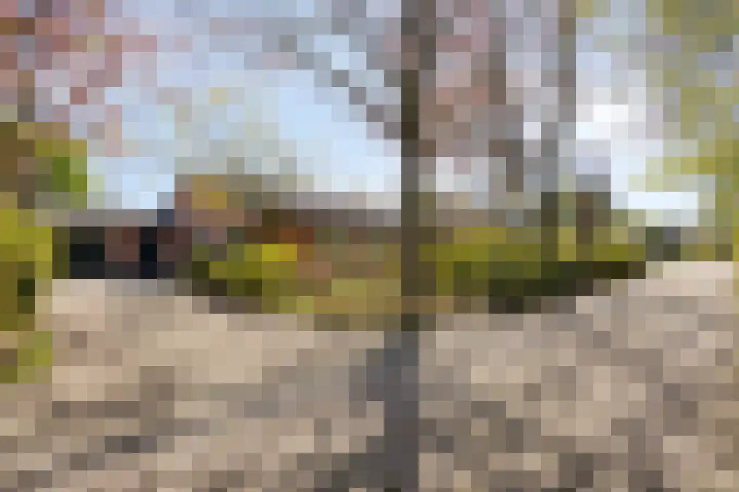 Achterlaan 11 Castricum thumbnail 71