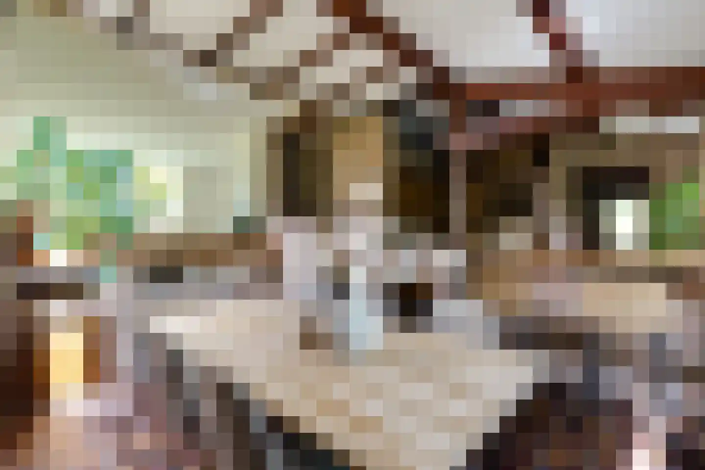Achterlaan 3 Castricum thumbnail 15