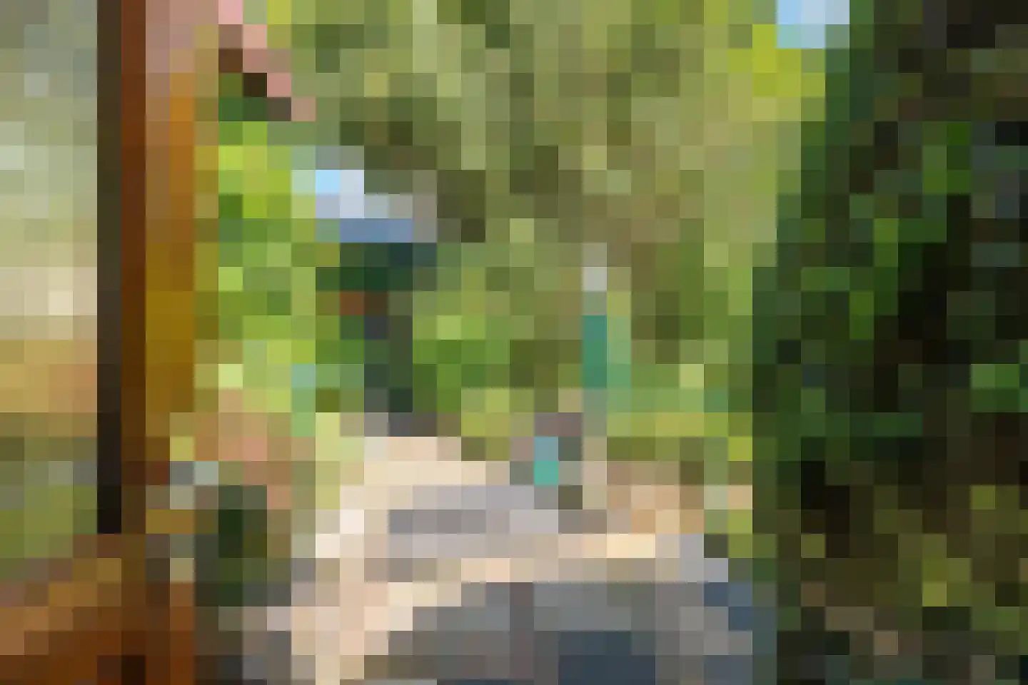 Achterlaan 3 Castricum thumbnail 23