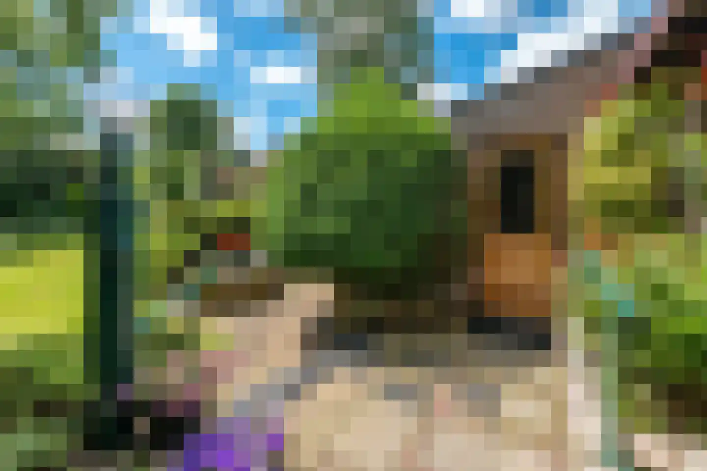 Achterlaan 3 Castricum thumbnail 24