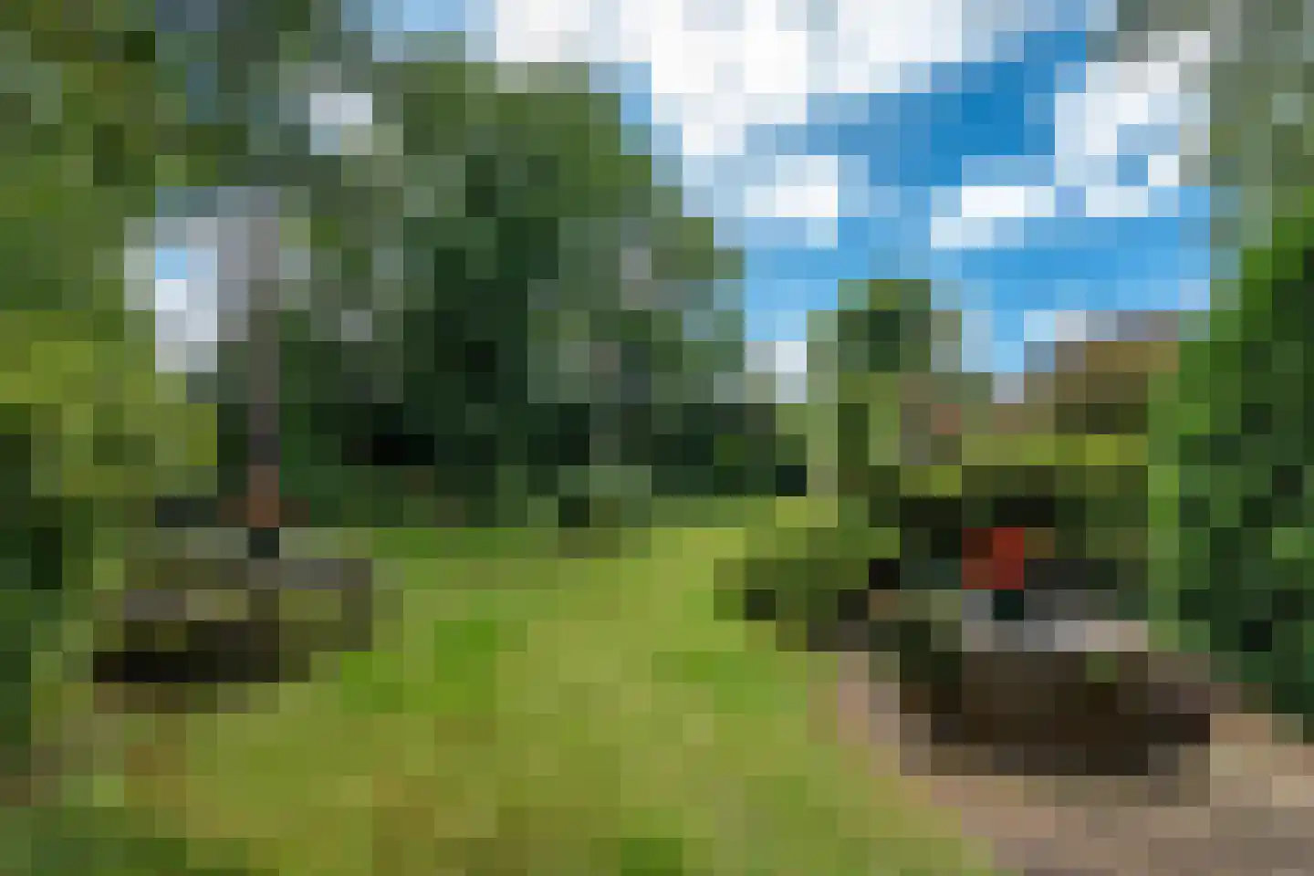 Achterlaan 3 Castricum thumbnail 25