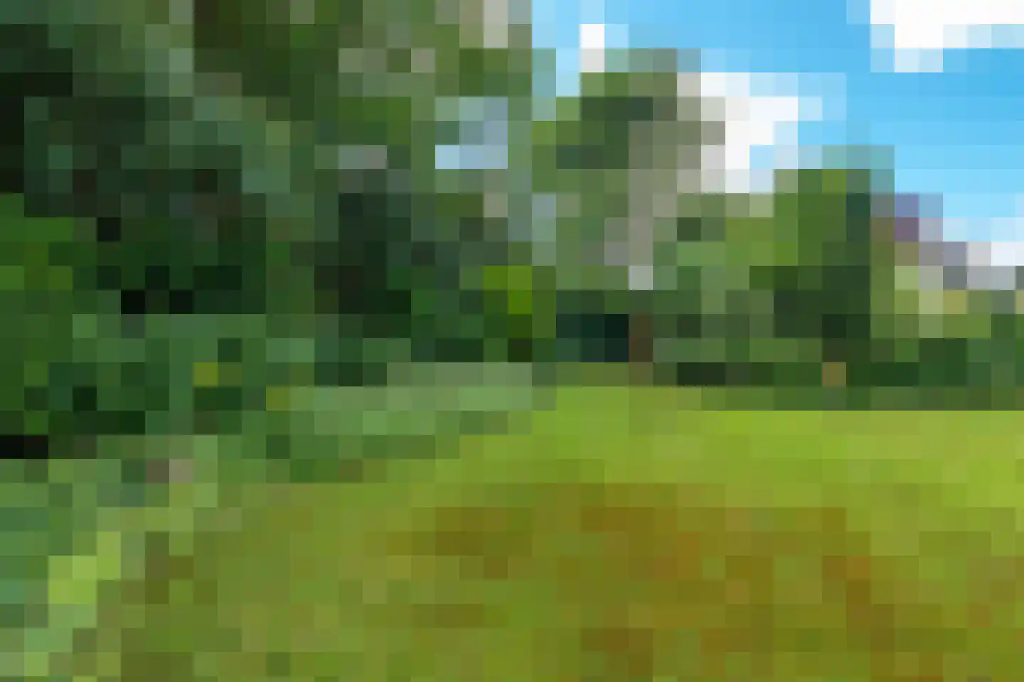 Achterlaan 3 Castricum thumbnail 28