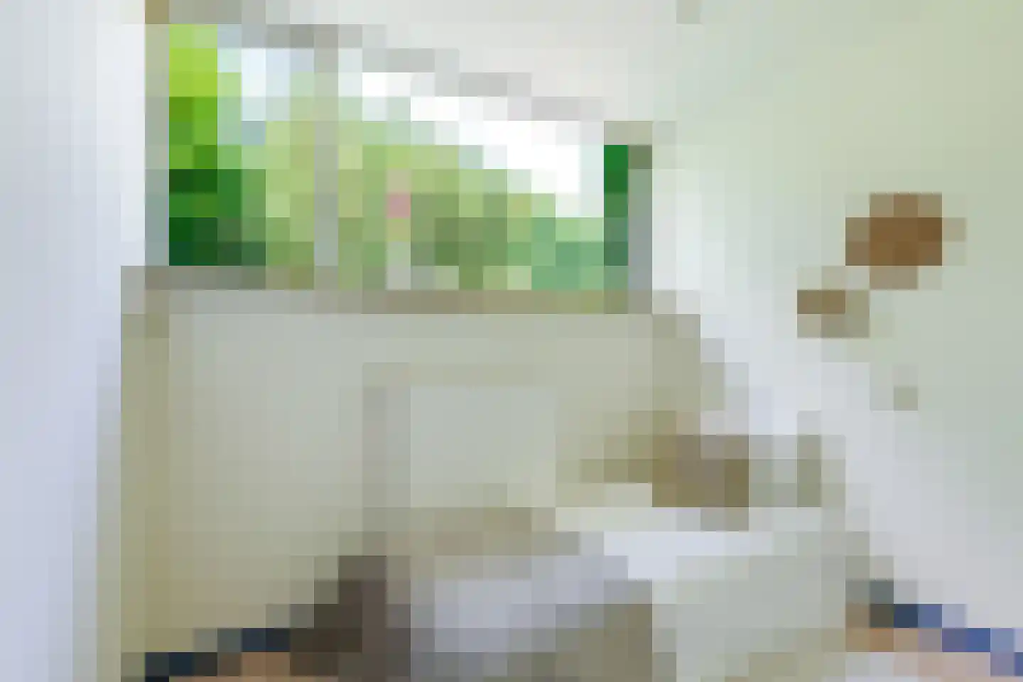 Achterlaan 3 Castricum thumbnail 39