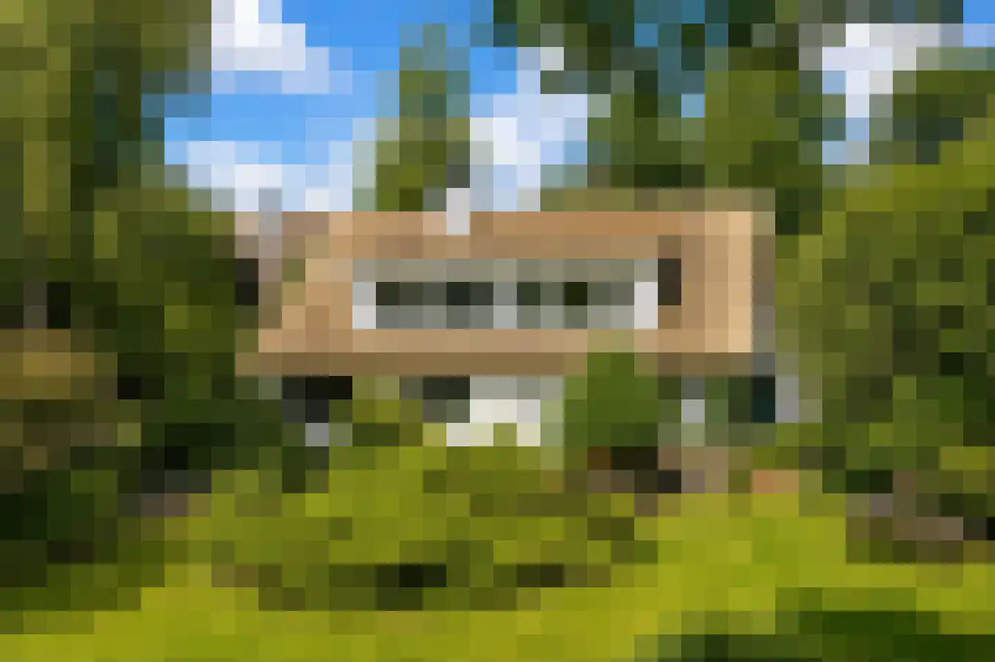 Achterlaan 3 Castricum thumbnail 4