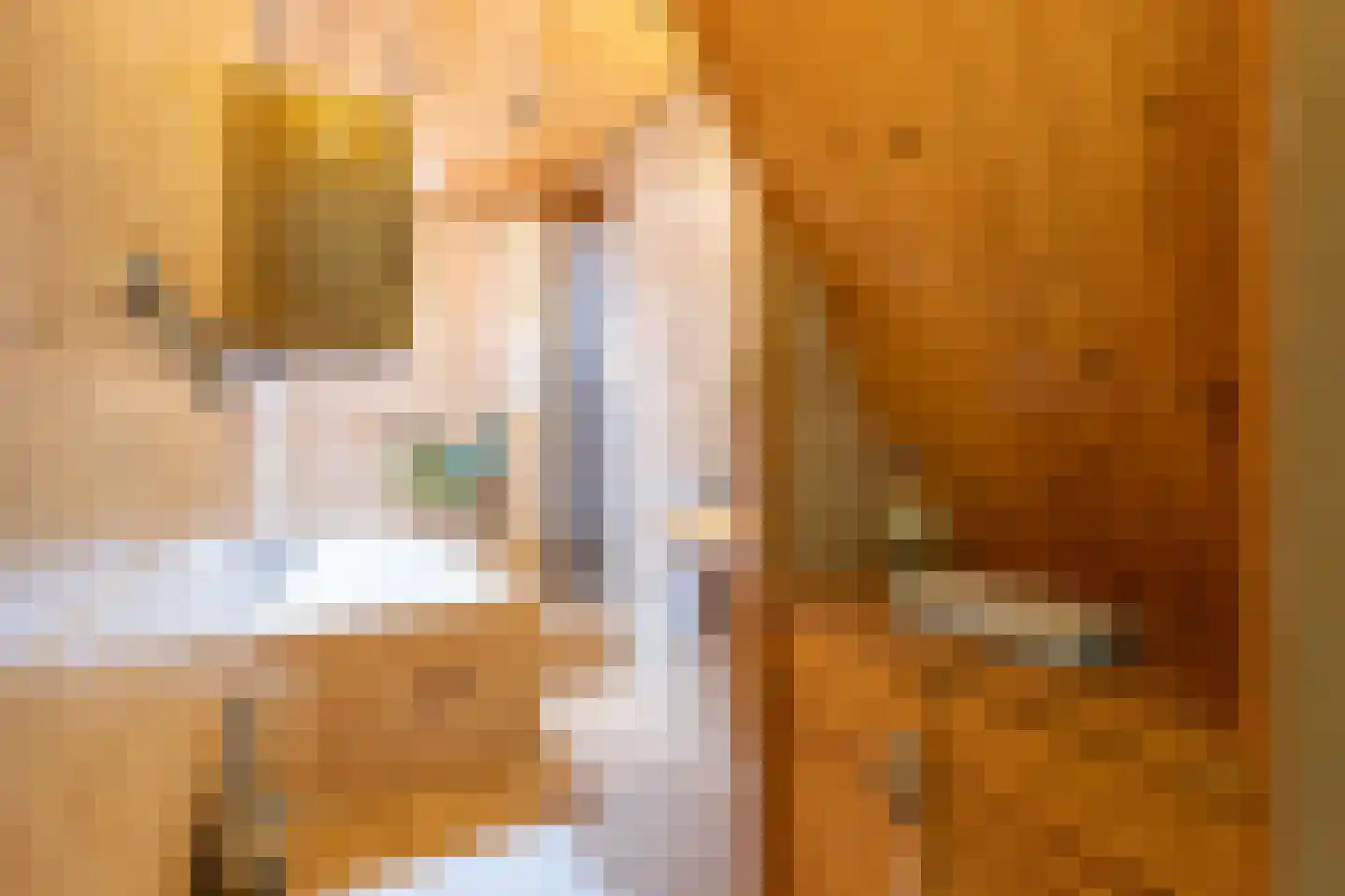 Achterlaan 3 Castricum thumbnail 43