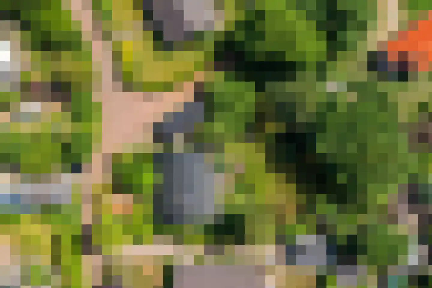Achterlaan 3 Castricum thumbnail 60
