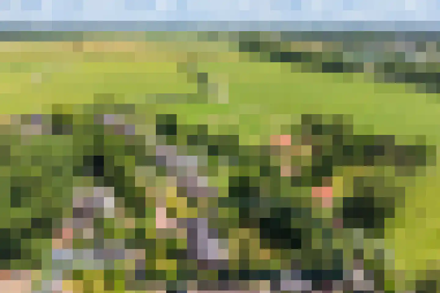 Achterlaan 3 Castricum thumbnail 61