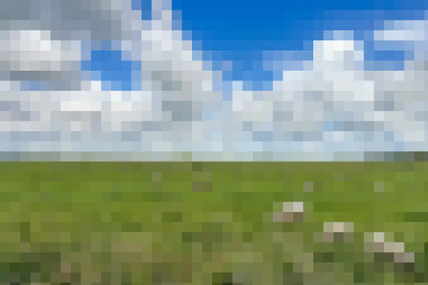 Achterlaan 3 Castricum thumbnail 63