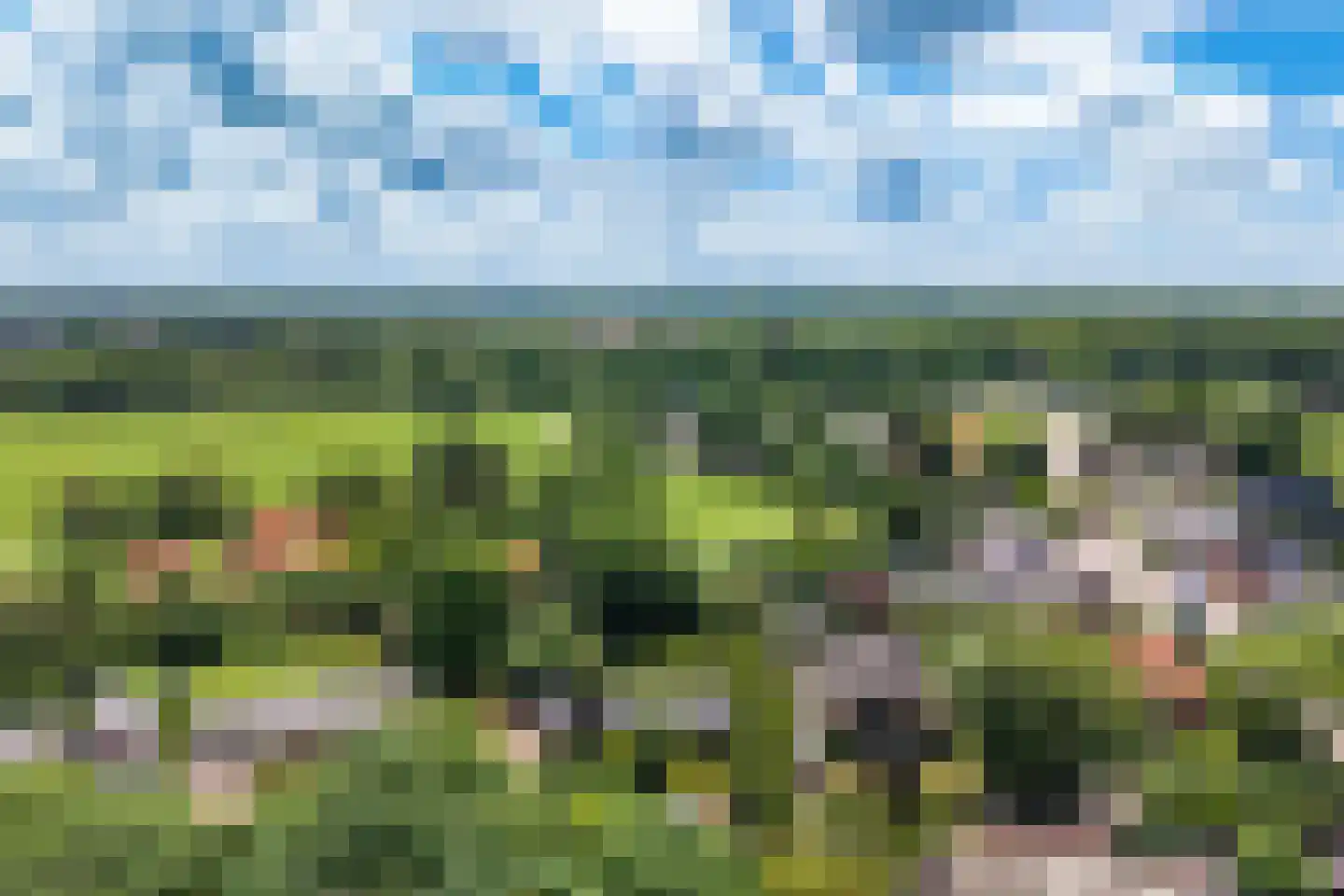 Achterlaan 3 Castricum thumbnail 64